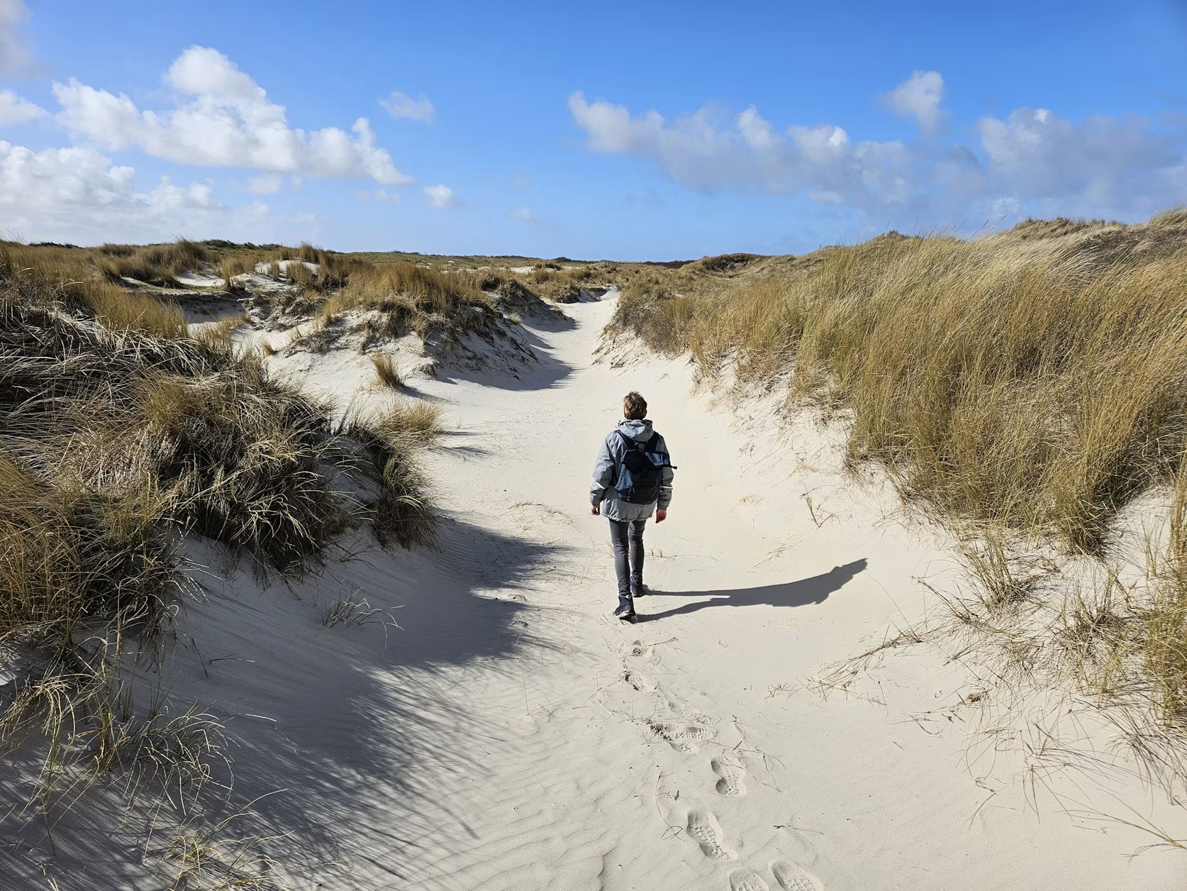 Wandelaar met rugzak op een zandpad door de duinen bij Koksijde
