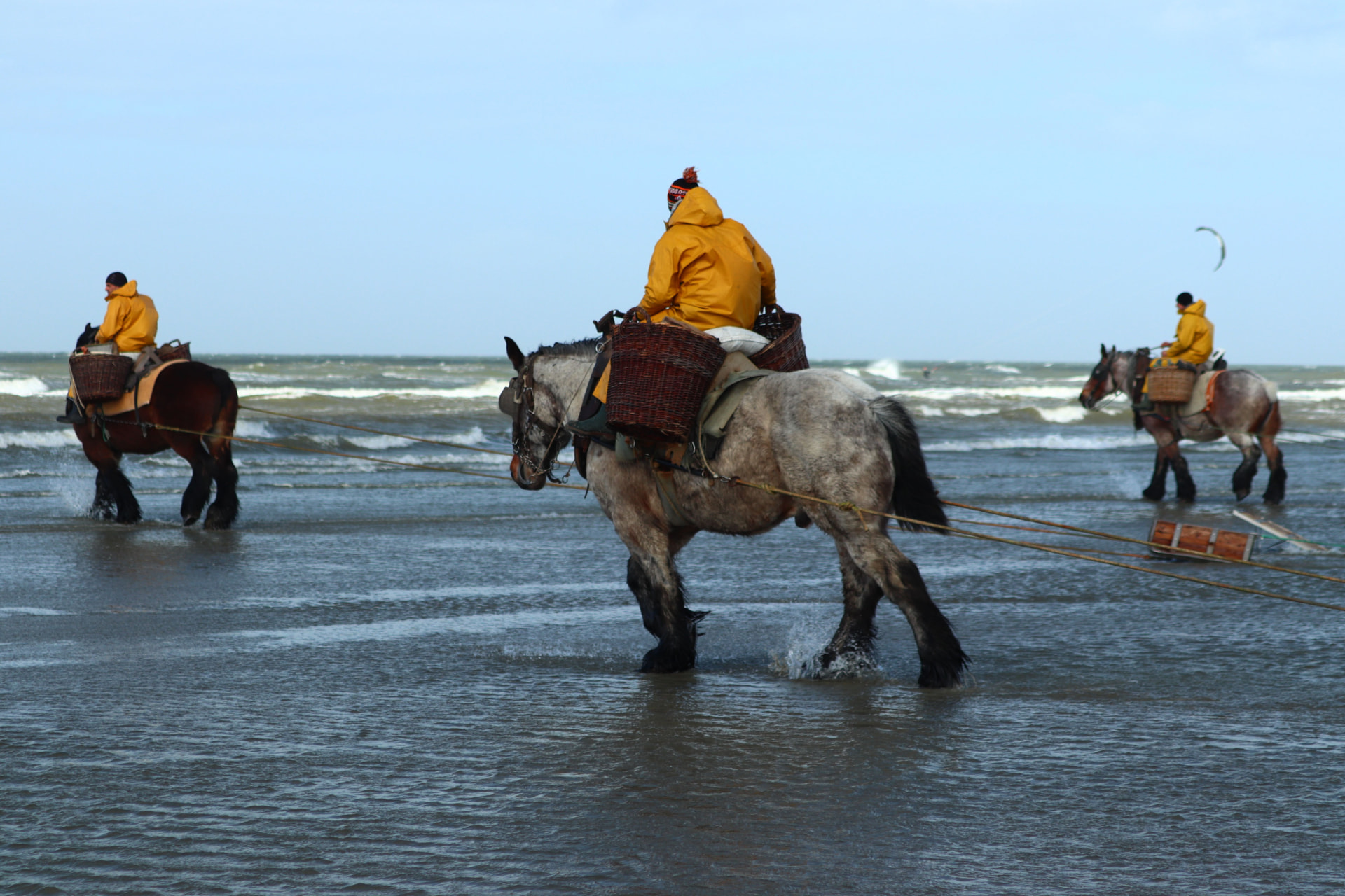 Vissers te paard in de branding van Oostduinkerke