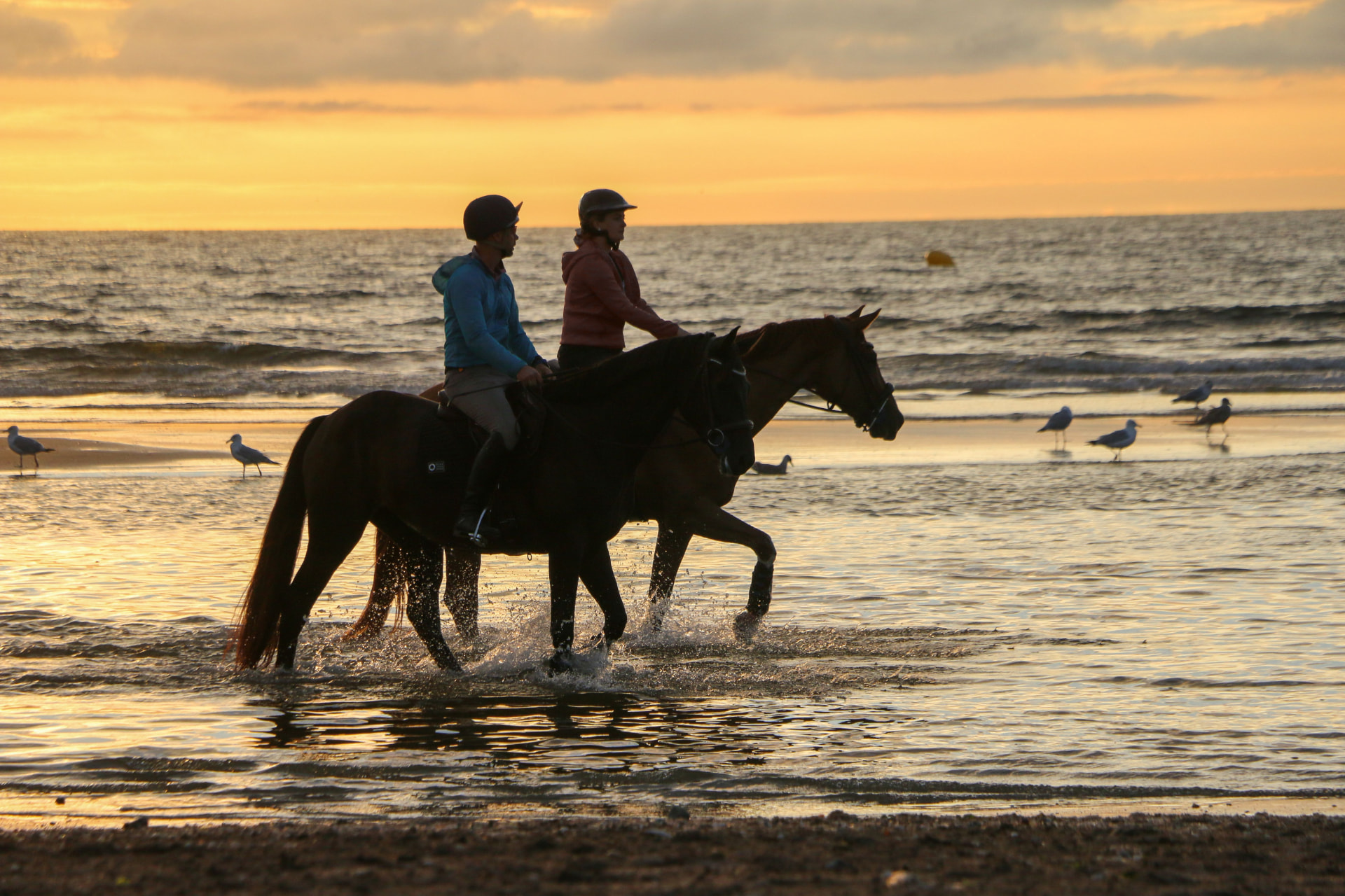 Ruiters te paard door de branding op het strand