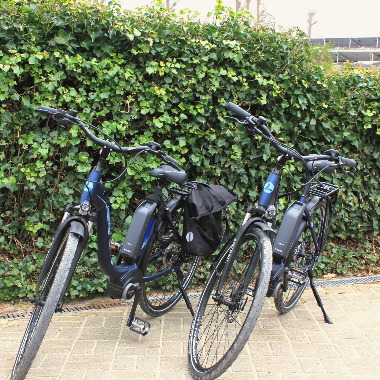 Huurfietsen langs een fietspad aan de kust